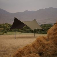 تارپ دیلور مدل خفاشی
